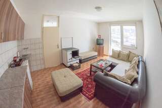 Апартаменты Apartment Vera Плужине Апартаменты с 1 спальней-32